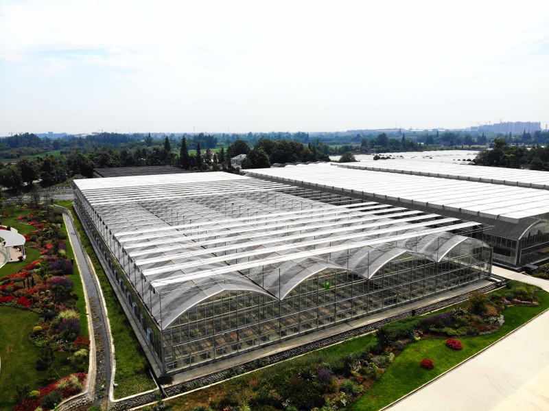 multi-span glass greenhouse
