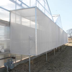 inetha lezinambuzane le-greenhouse