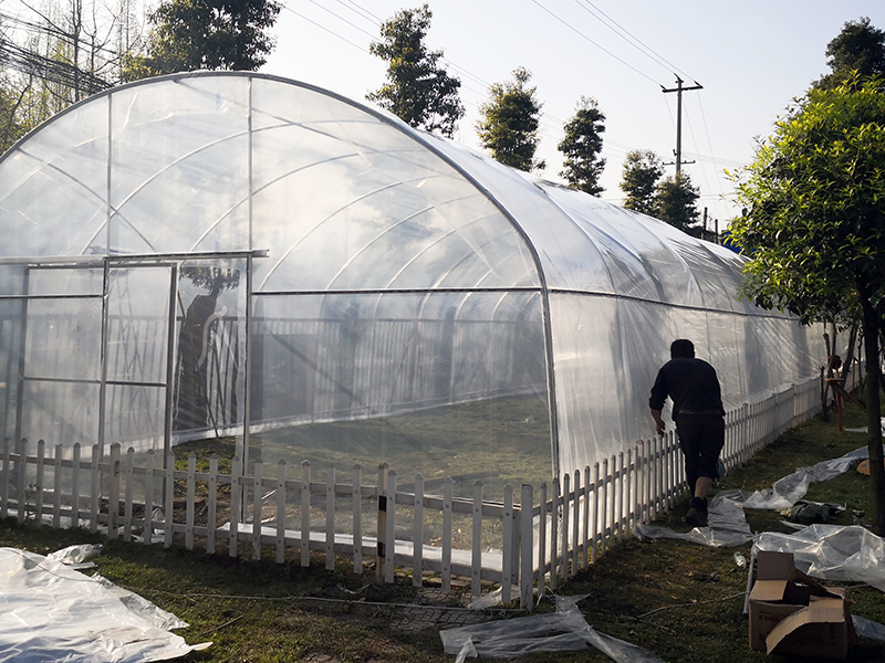 High tunnel tomato greenhouse with shade net,agriculture greenhouse-PTD003