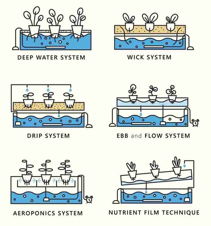 hidroponik sistemlər