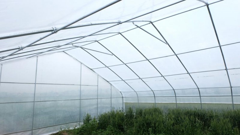 film greenhouse