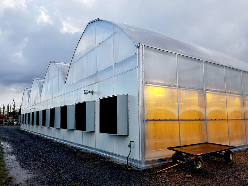 Factory Price China Commercial Greenhouse Poly Film Multi-Span Greenhouse Light Deprivation-PBMG002