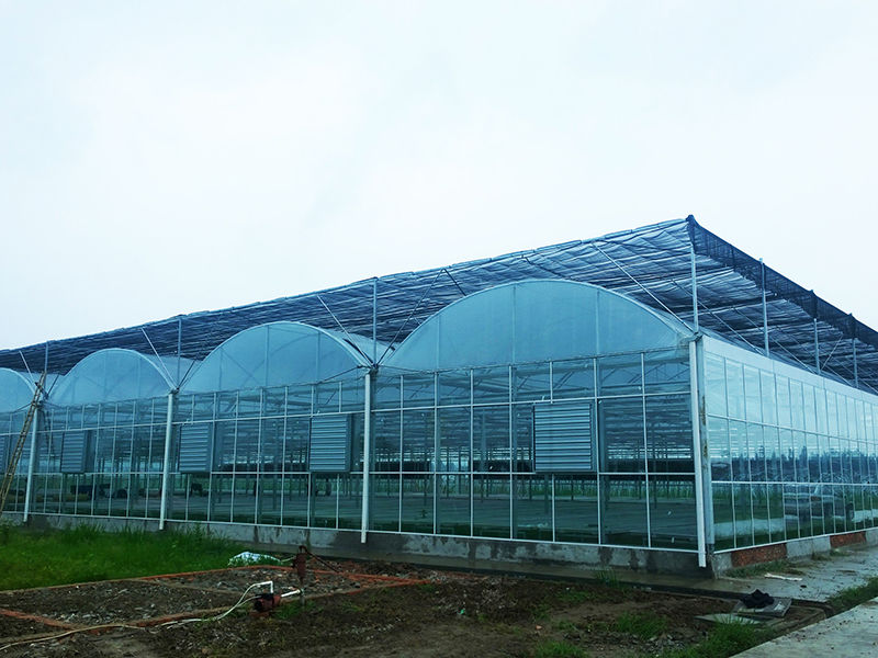 Nursery Greenhouse Commercial Multi-Span Glass And Film Greenhouse For Sale-PMD010