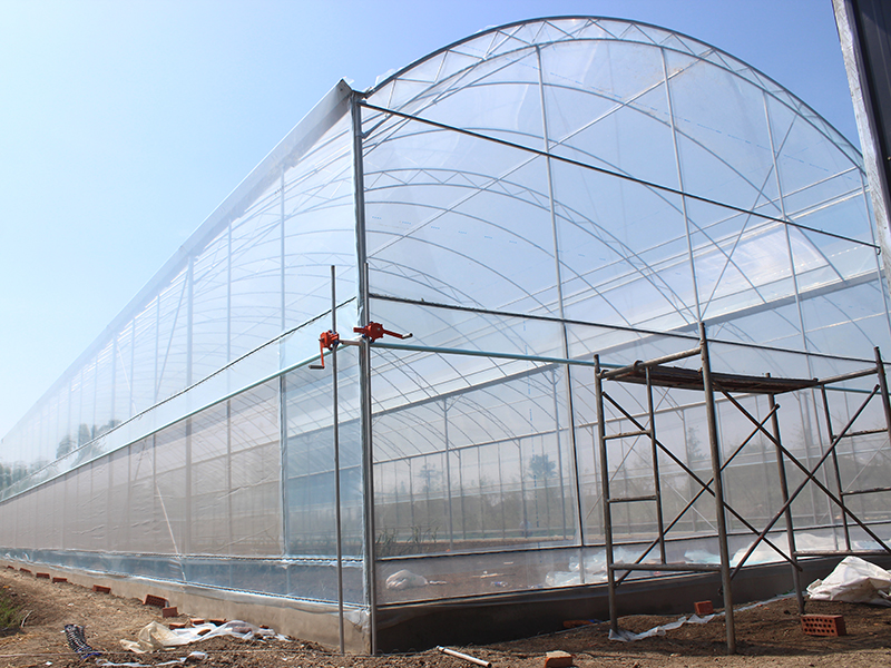 Fruit planting high tunnel multi-span film greenhouse-PMD013