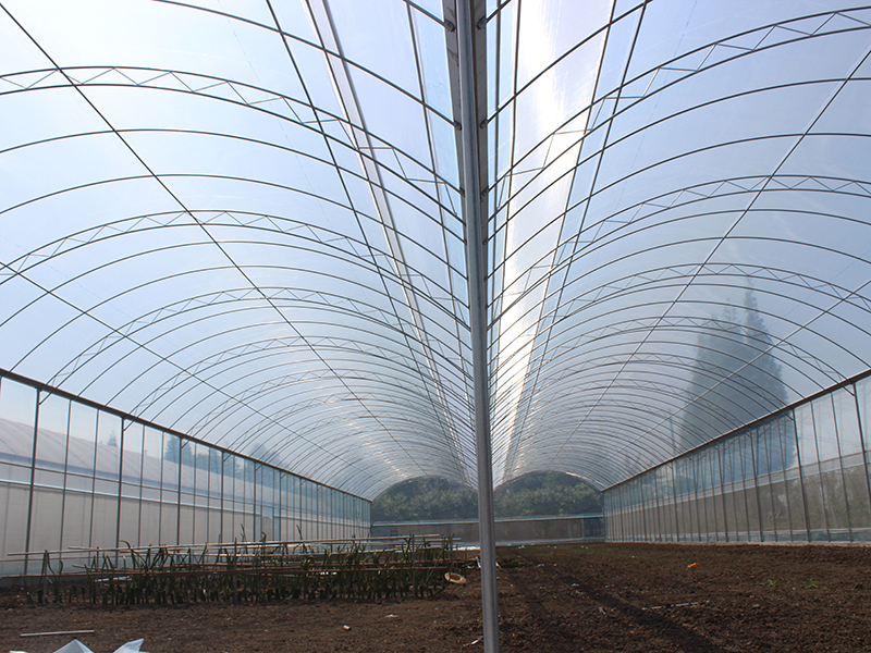 https://www.axgreenhouse.com/fruit-planting-high-tunnel-multi-span-film-greenhouse-pmd013-product/