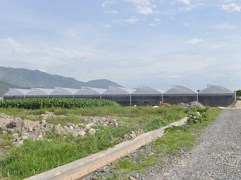Quality Inspection for China Saw Tooth Roof Opening Ventilation Multi-Span Greenhouse-PMS002