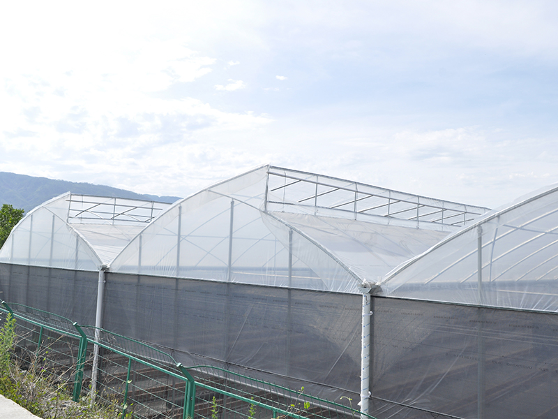 Quality Inspection for China Saw Tooth Roof Opening Ventilation Multi-Span Greenhouse-PMS002