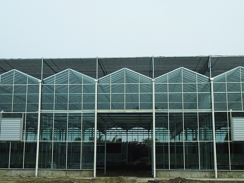 Ordinary Discount China Venlo Type Glass Green House/Glasshouse for Vegetables/Flowers/Cucumber/Exhibition Hall/Farm with Float Glass/Good Transmittance/Galvanized Frame-PMV009