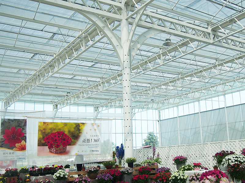 Event Greenhouse Manufacturer of China Waterproof Galvanized Steel Customized Greenhouse-PMV012