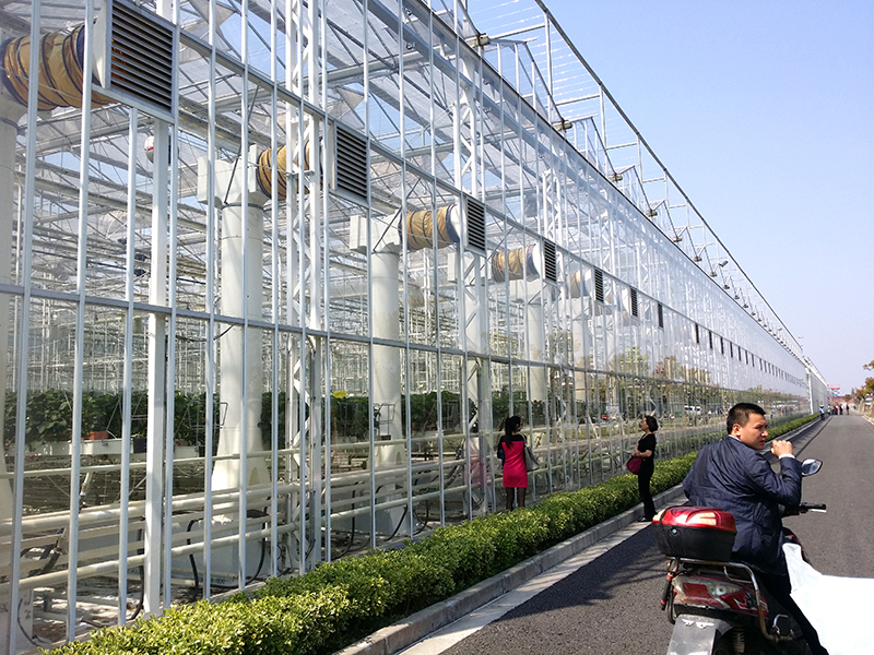 2021 Hot Sale Venlo Commercial Galvanized Steel Frame Multi-Span Glass Greenhouse with cucumber Soilless cultivation Growing System-PMV014