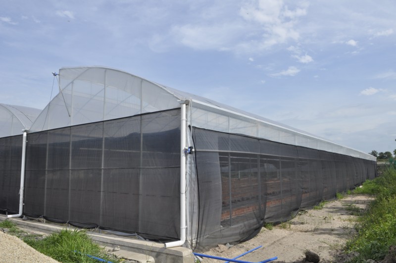sawtooth greenhouse