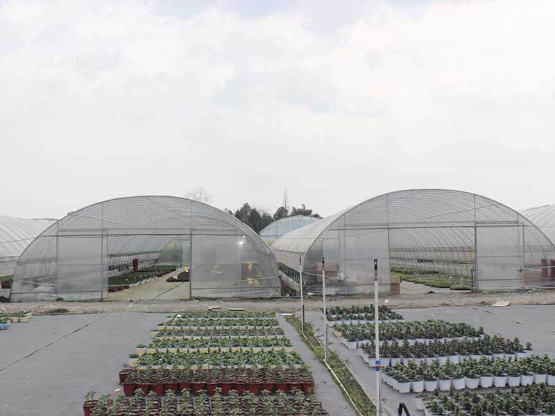 Dome type greenhouse (3)