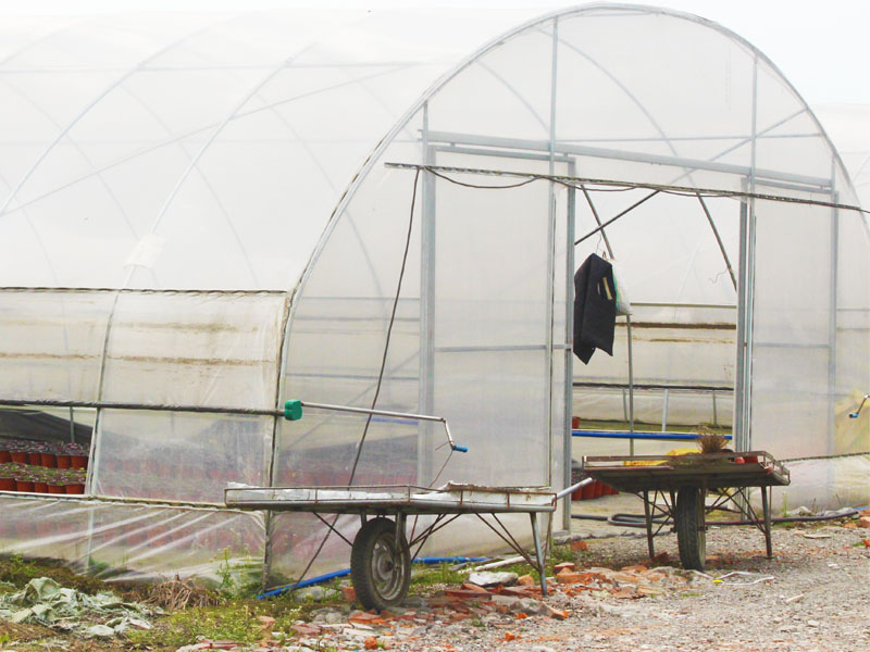 Dome type greenhouse (6)