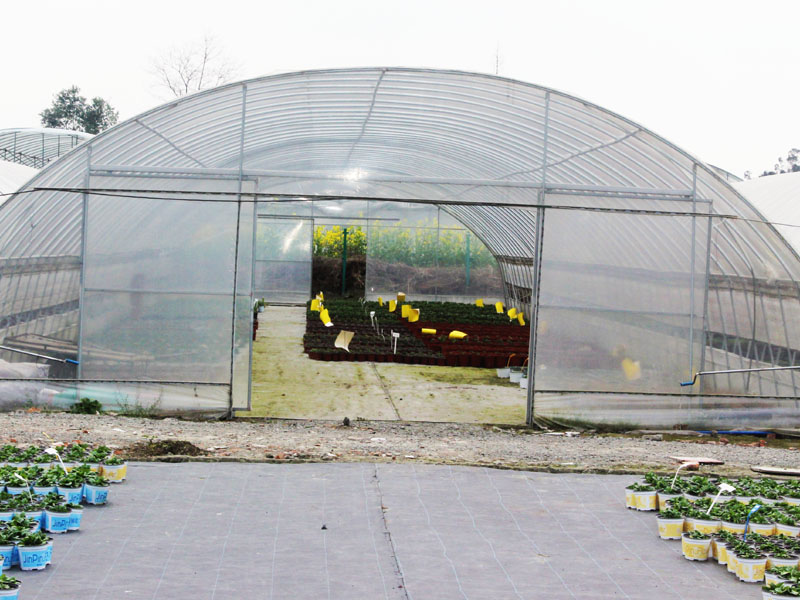 Dome type greenhouse (9)