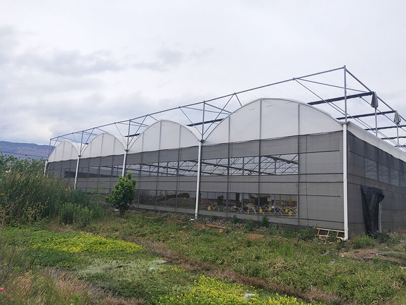 Galvanized Steel Frame Multi Span PE Film Greenhouse For Agriculture Low Cost For Vegetable Plant-PMG001