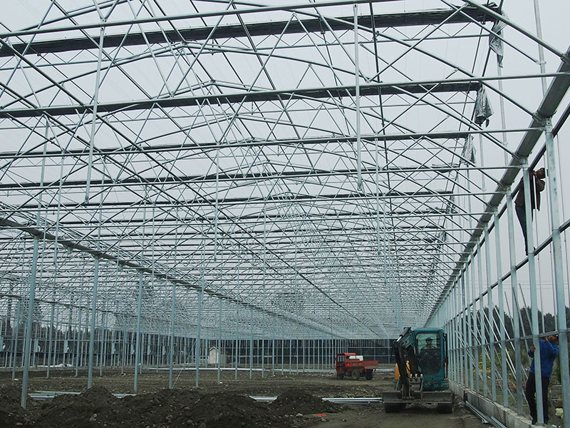 Low Cost Large Commercial PO Film And Glass  Cover Gothic Type Agriculture Multi-span Greenhouse With Rolling Table-PMG002