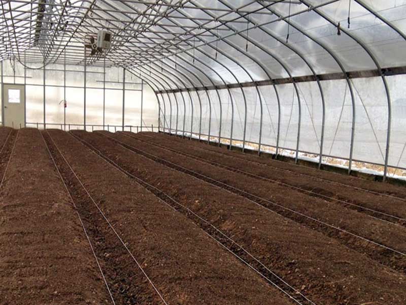 China OEM China Single Span/Commercial/Tunnel/Film Polycarbonate Farm Agriculture Greenhouse-PTG001