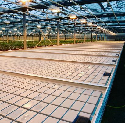 Instock Avaibale Stable Eco Friendly Greenhouse Growing Nursery Rolling Flood Table