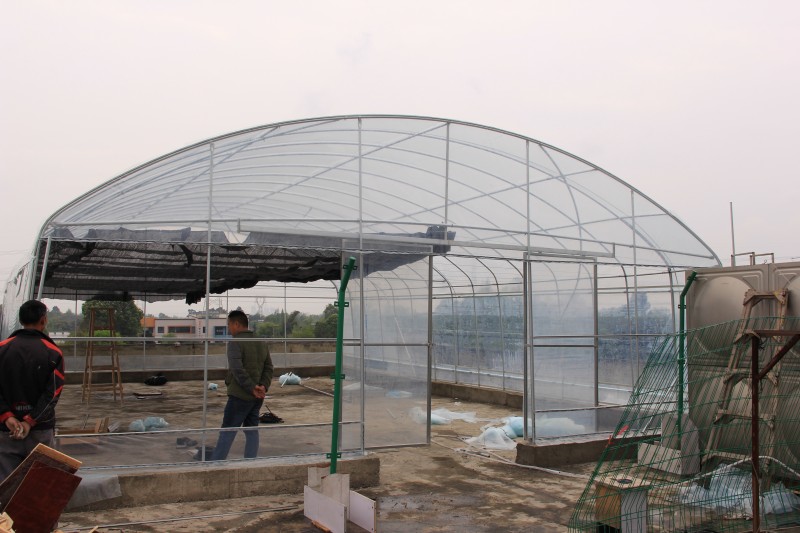 https://www.axgreenhouse.com/single-span-tunnel-film-greenhouse%E4%B8%A8china-manufacturer%E4%B8%A8commercial-greenhouse-design-suitable-for-flowers-vegetables-planting-product/