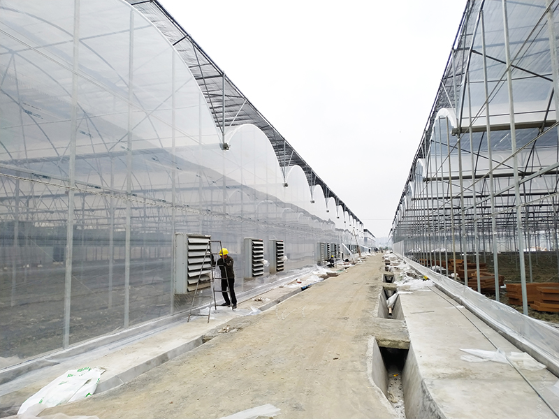 Multi-span Greenhouse-axgreenhouse (1)