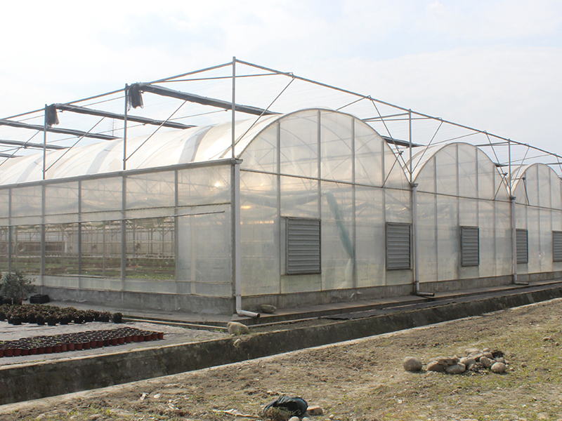 Multi Span Steel Structure Greenhouse for Vegetable and Garden-PMD002