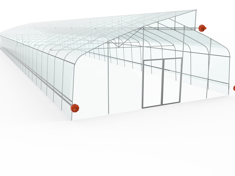 Quality Inspection for China Saw Tooth Roof Opening Ventilation Multi-Span Greenhouse-PMS001