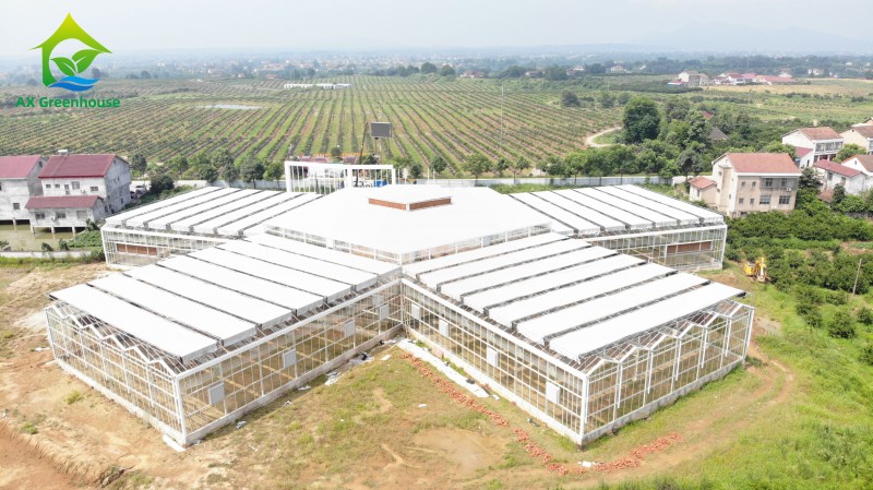 https://www.axgreenhouse.com/modern-multi-span-venlo-glass-greenhouse-with-intelligent-control-system-product/