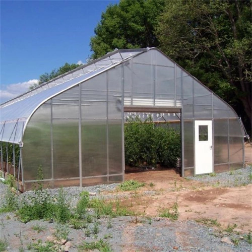 https://www.axgreenhouse.com/high-strength-agricultural-poly-tunnel-tomato-green-house-product/?fl_builder