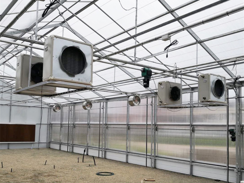 Factory Price China Agricultural/Commercial Single Span/Cheap Tunnel/Venlo PC Sheet Greenhouse for Cannabis Growing With Full System-PBSV002