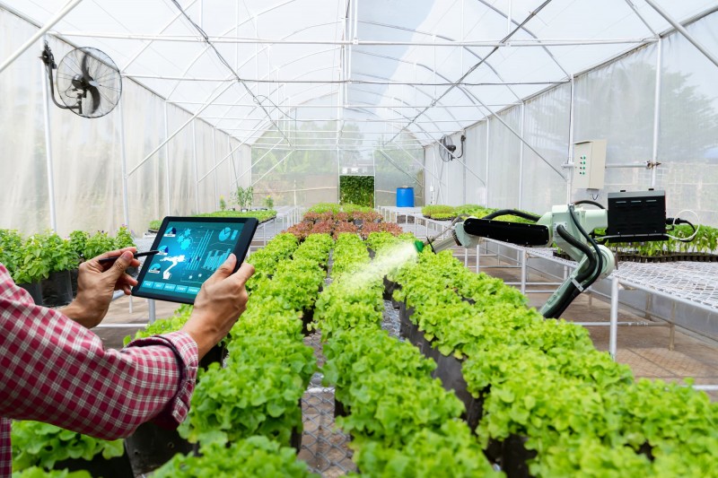 smart greenhouse