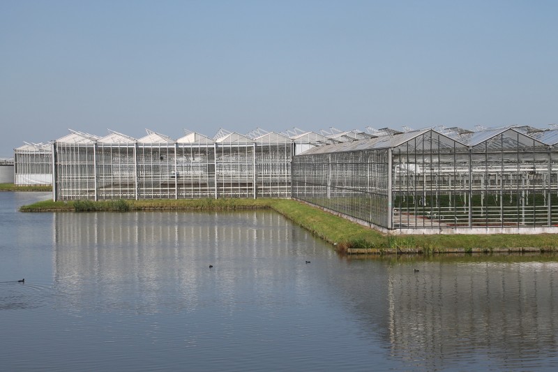 Professional greenhouse design and construction