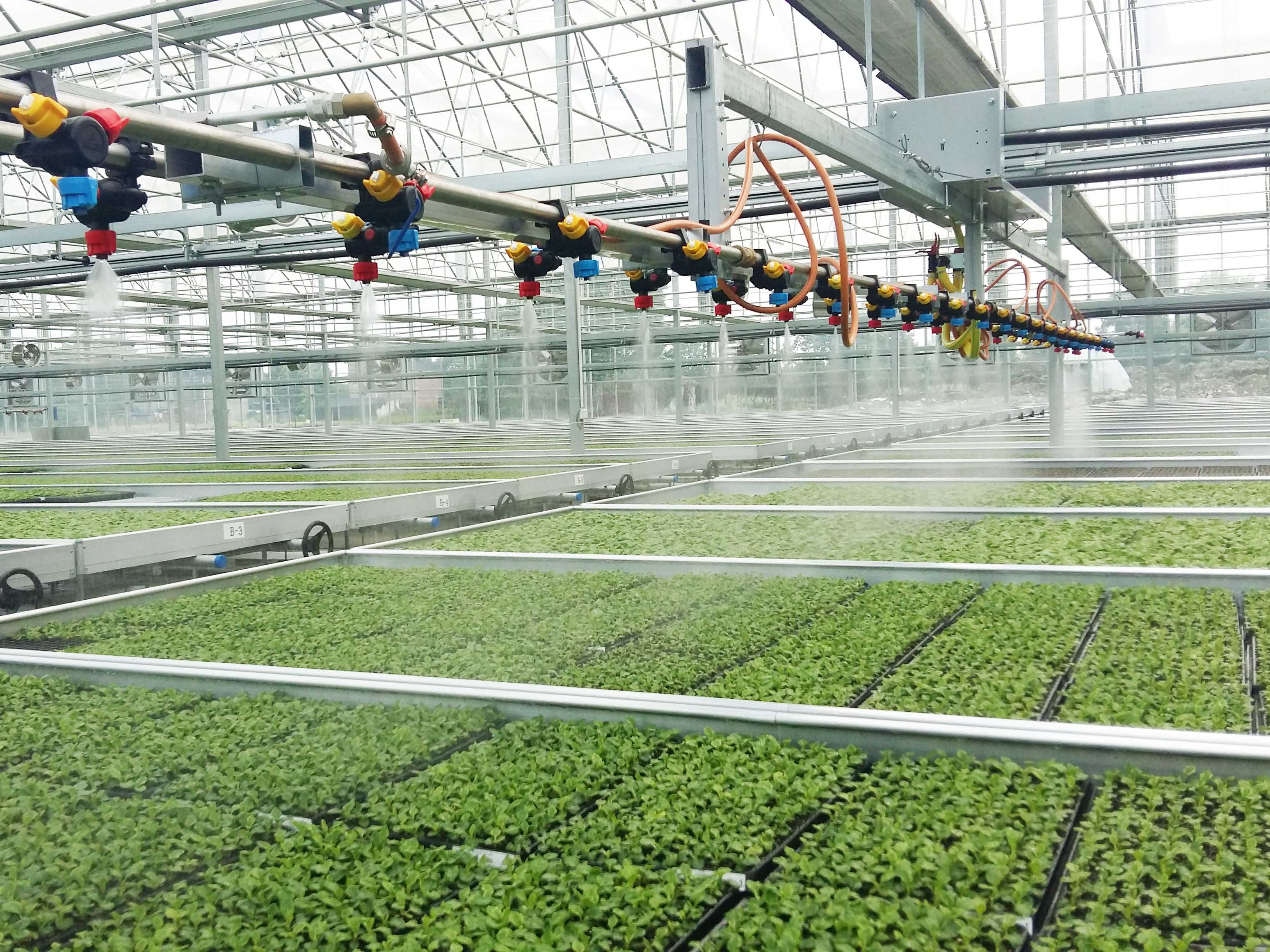 movable automated overhead spinkler irrigation system