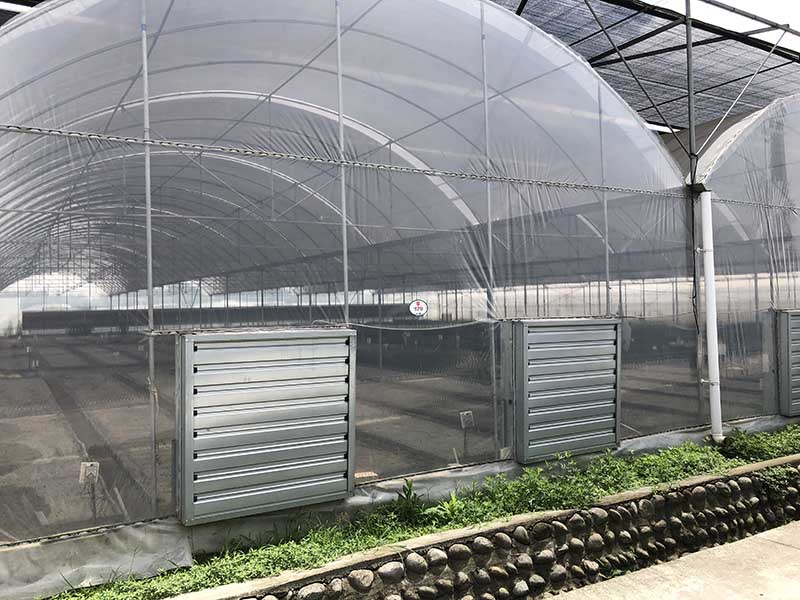 multi-span greenhouse (12)