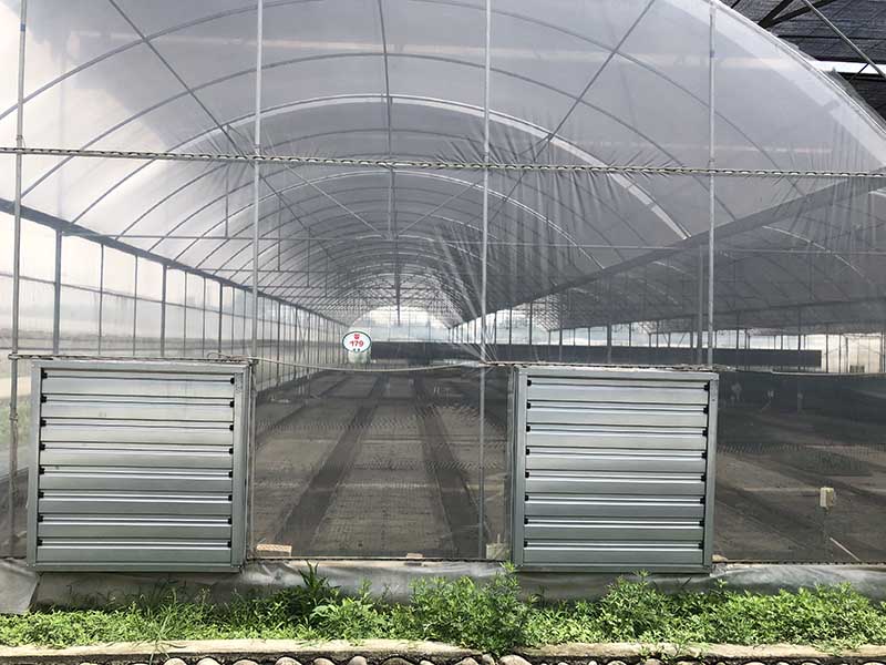 Multi-Span Covering Materils/Building Materials Glass Greenhouse in Winter for Four Seasons-PMD0016