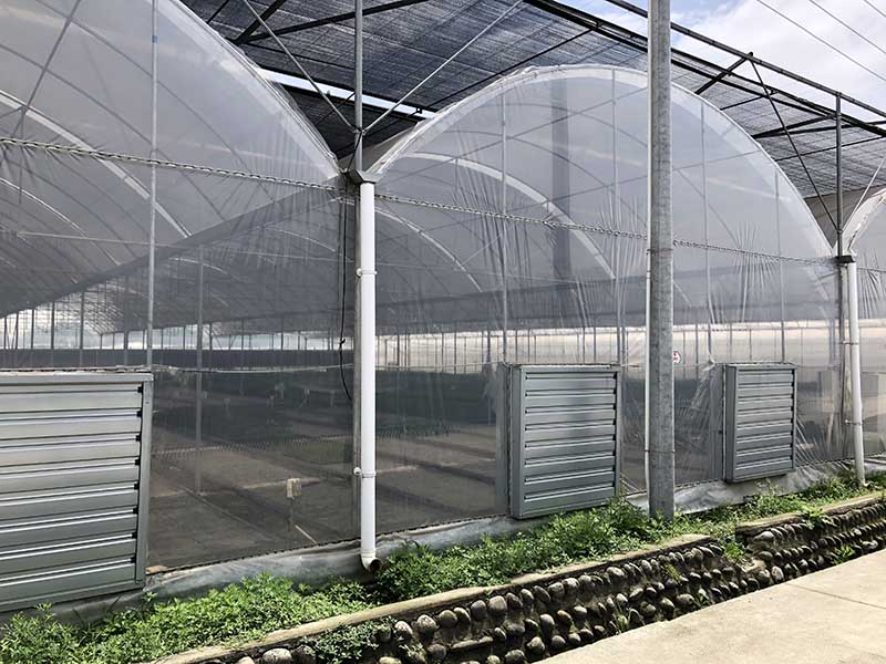 multi-span greenhouse (14)