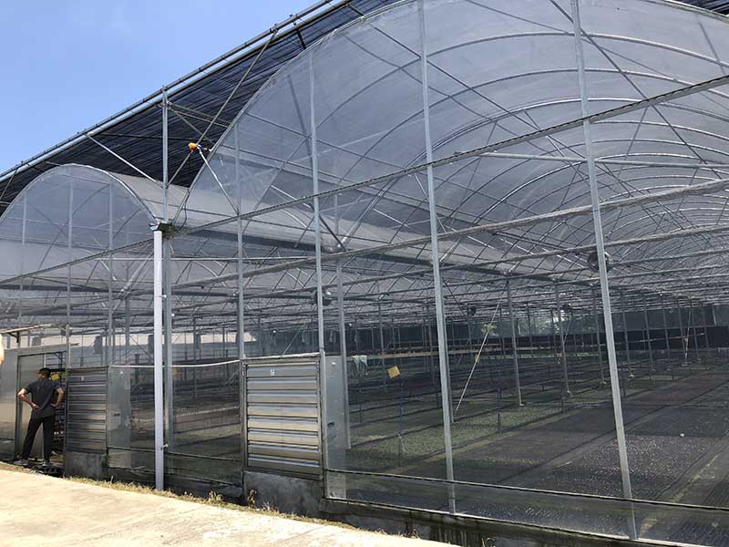 multi-span greenhouse (15)