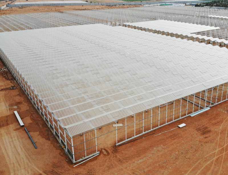 https://www.axgreenhouse.com/factory-supply-polycarbonate-sheet-covering-greenhouse-multi-span-greenhouses-agricultural-greenhouses-product/