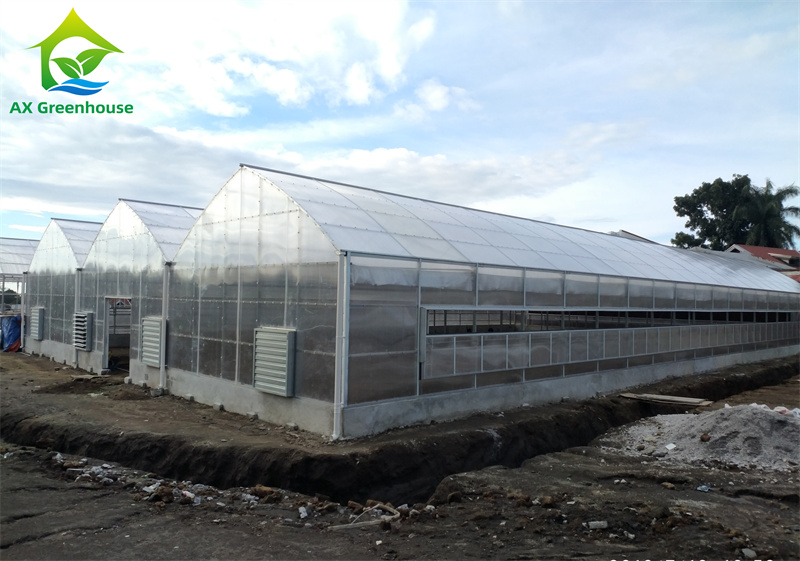 polycarbonate greenhouse7