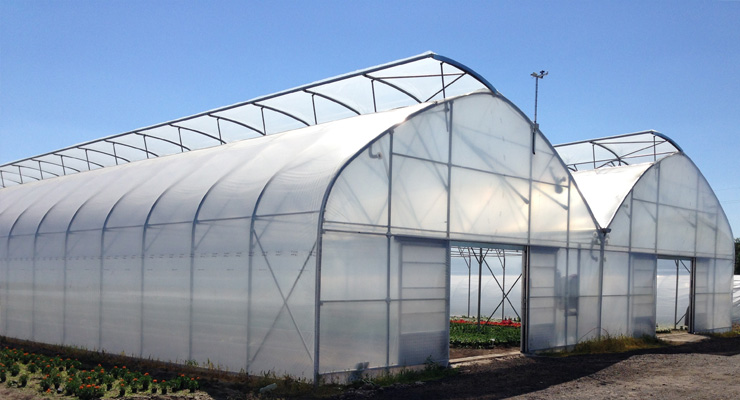 tunnel greenhouse with top window