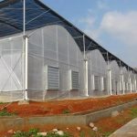 tunnel film greenhouse With top shading
