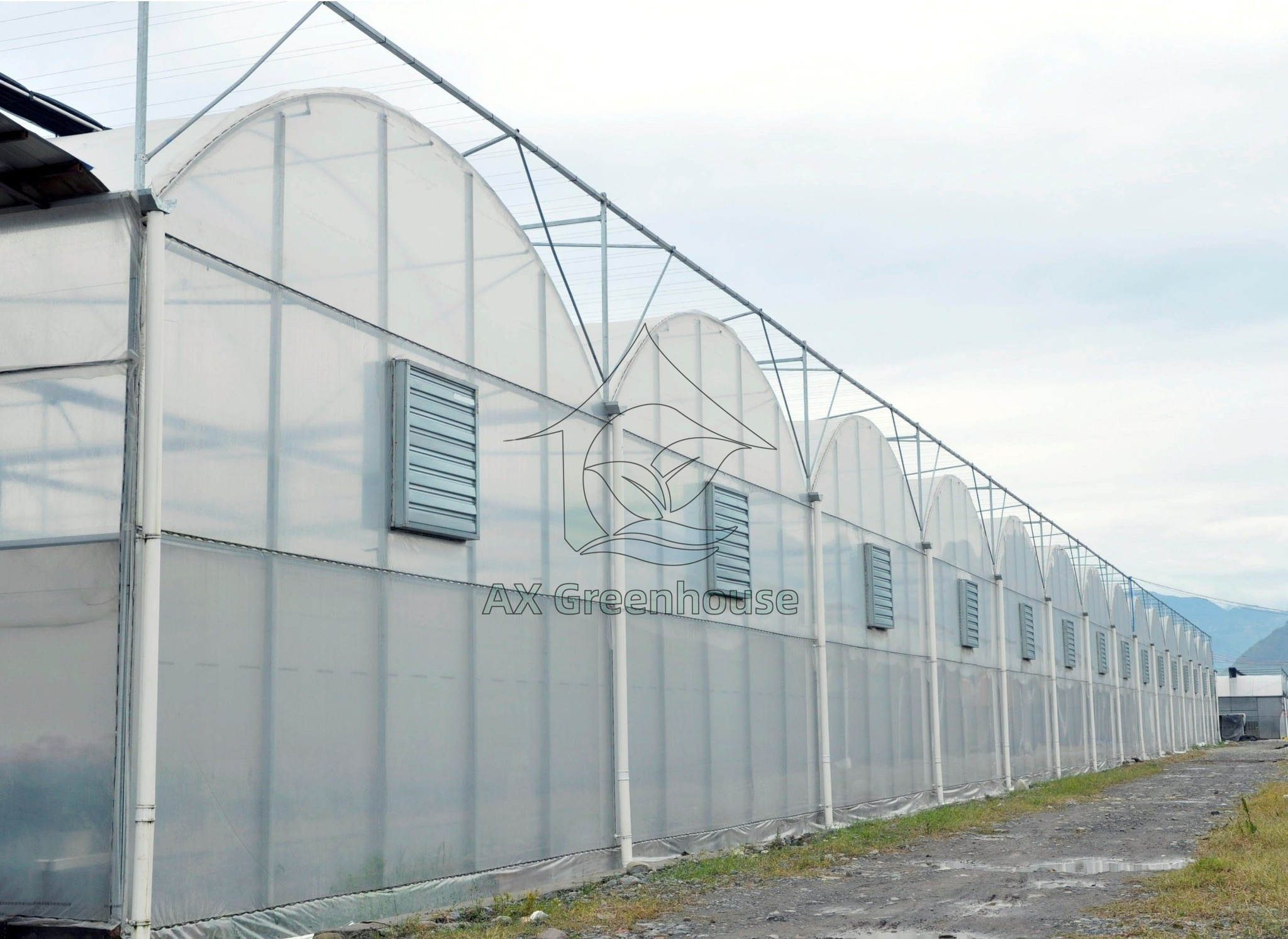 Multi-span film greenhouse