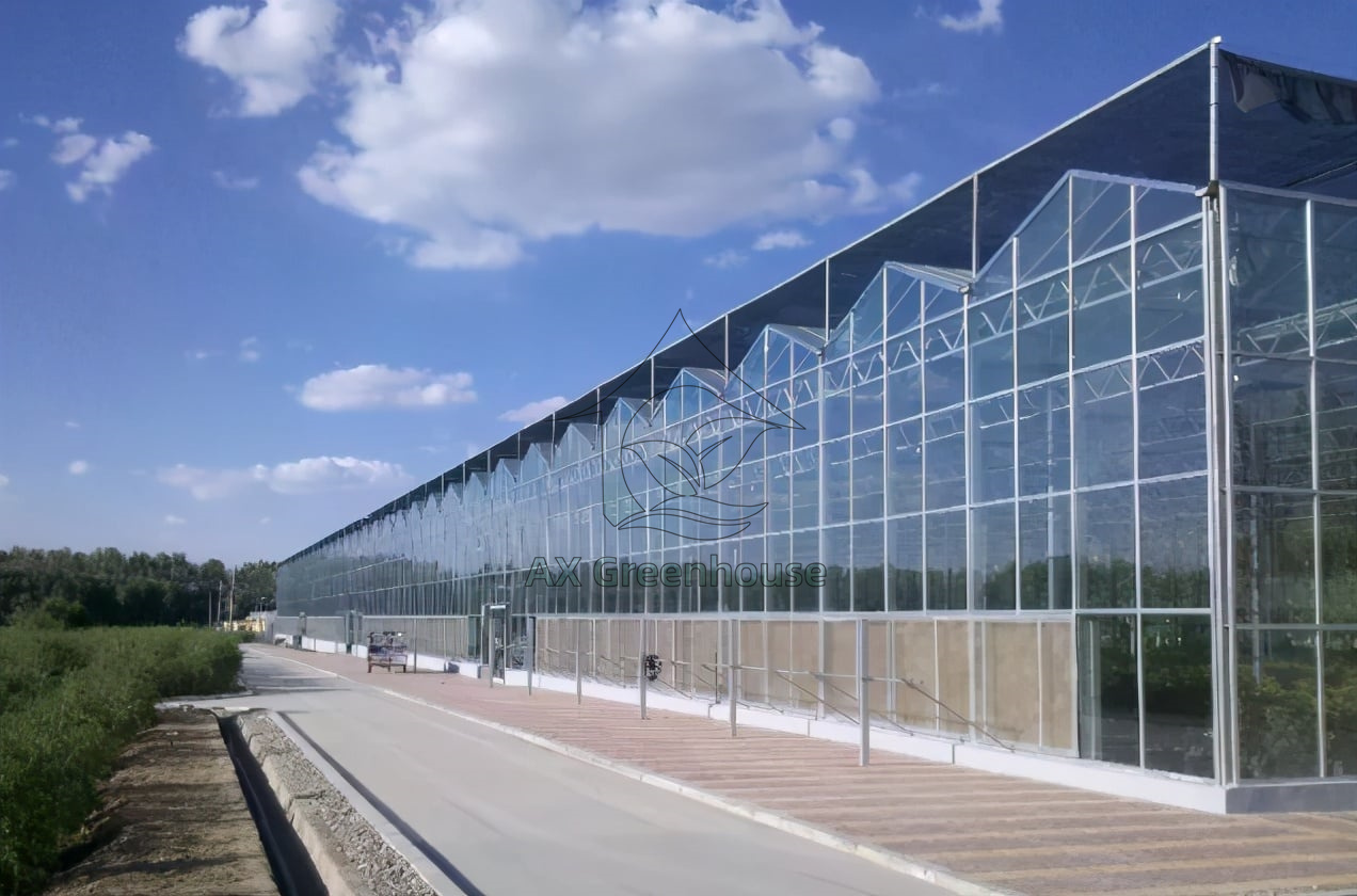 Pointed glass greenhouse
