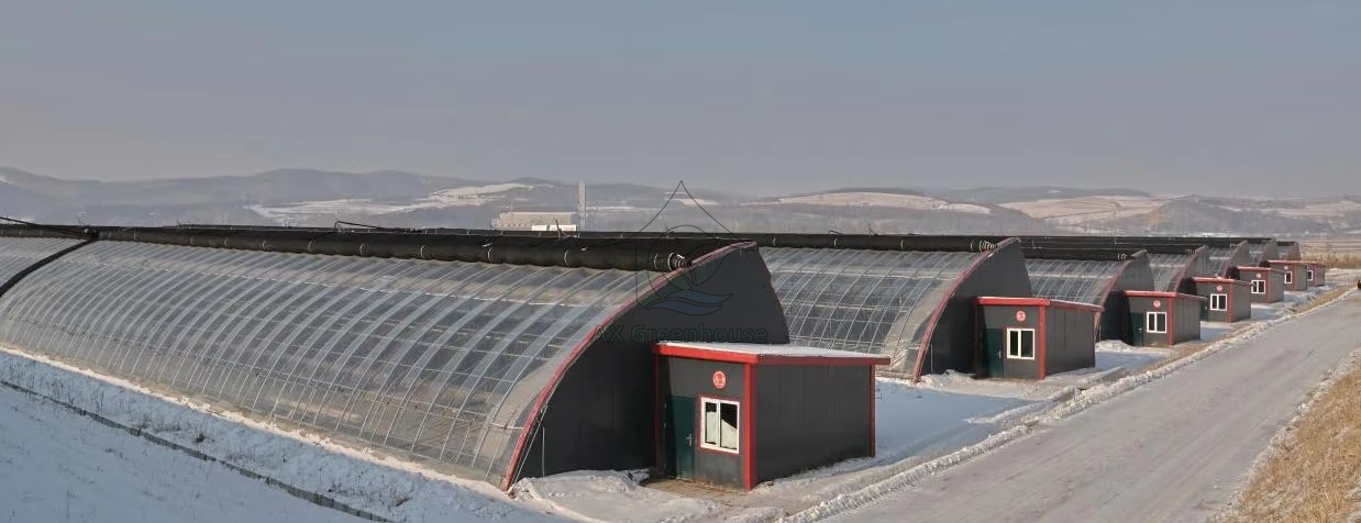 Slope solar greenhouse