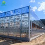 Field project: All-glass smart agricultural greenhouse