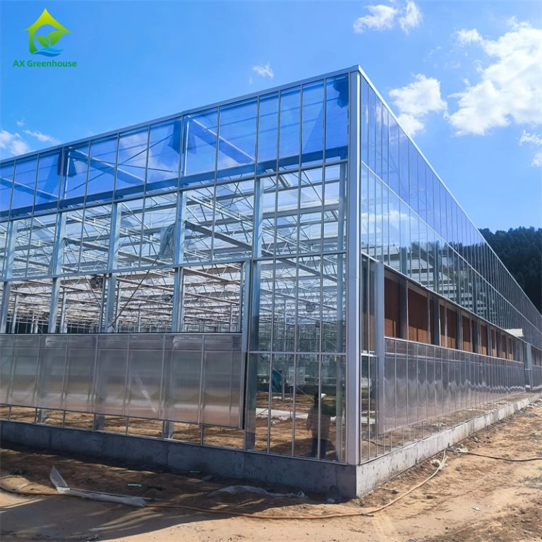 Field project: All-glass smart agricultural greenhouse