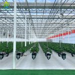 Professional smart greenhouse strawberry planting