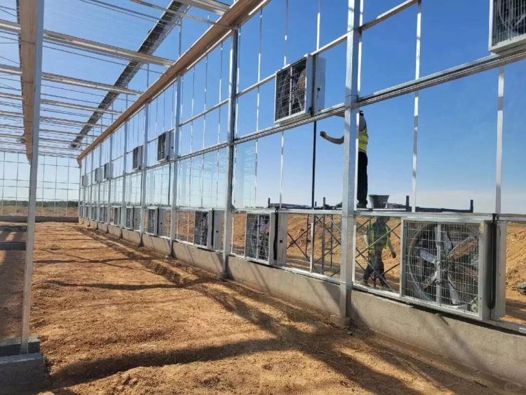 Glass greenhouse interior wall