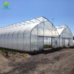 Transparent plastic film steel pipe frame multi-span agricultural greenhouse