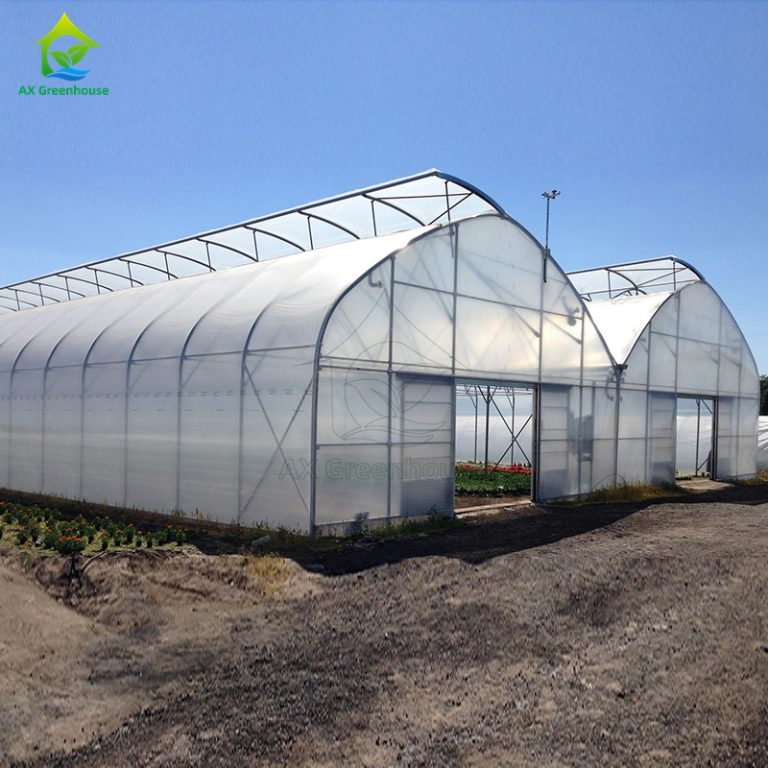Transparent plastic film steel pipe frame multi-span agricultural greenhouse