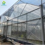 Sawtooth multi-span agricultural film greenhouse